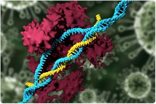 Gene-editing is more error-prone than thought, new findings suggest