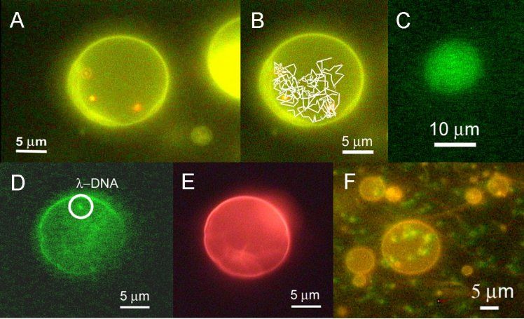 Encapsulation Pictures