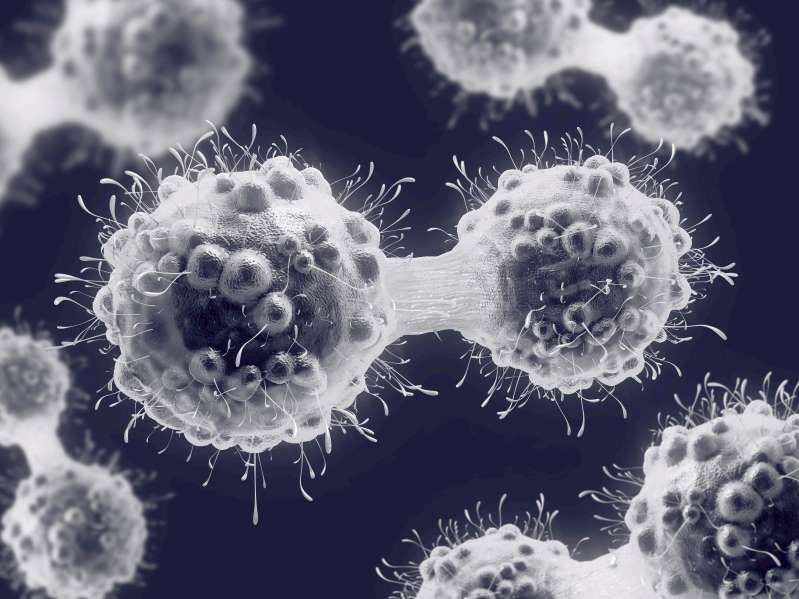 3D illustration of a cancer cell in the process of mitosis.
