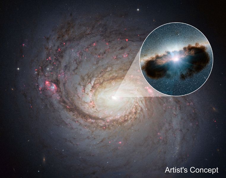 We Finally Know What’s Inside These Mysterious Black Hole Clouds