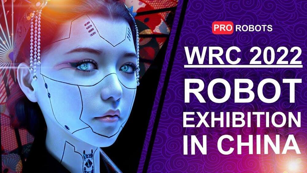 WRC 2022 — China’s largest robot exhibition Robots and technologies