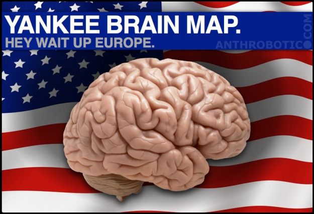 YANKEE.BRAIN.MAP