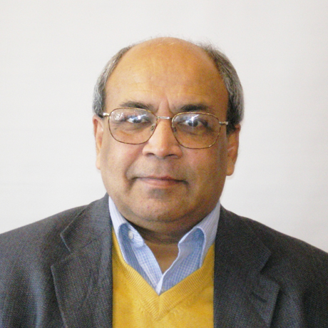 Professor Ashok K. Goel