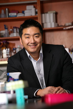 Professor Dean Ho