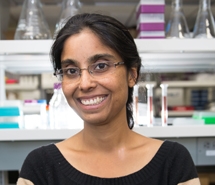 Professor Veena Prahlad